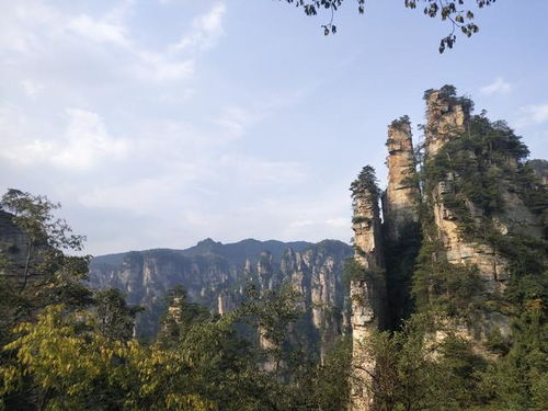 张家界旅游全攻略 一篇解锁绝美奇峰与人间仙境的吃住行门票指南