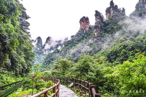 张家界旅行之 俯瞰大自然的鬼斧神工