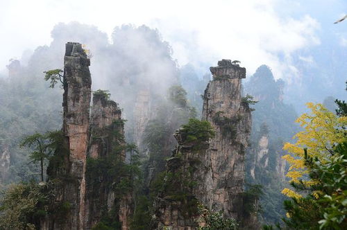 去张家界需要准备什么？了解这些游玩须知，比准备衣服要重要