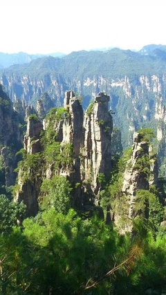 华山与张家界暑假旅行推荐指南 为何我更倾向于张家界