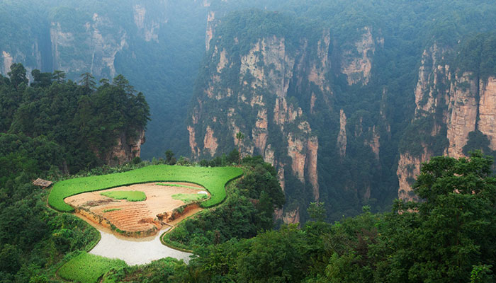 张家界景区门票价格及旅行实用指南